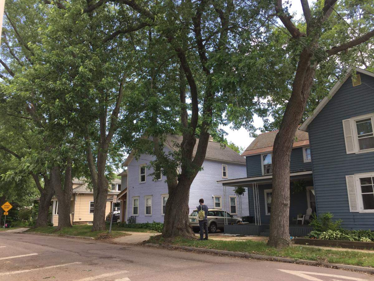 Urban Forestry Management Plans Vermont Urban & Community Forestry